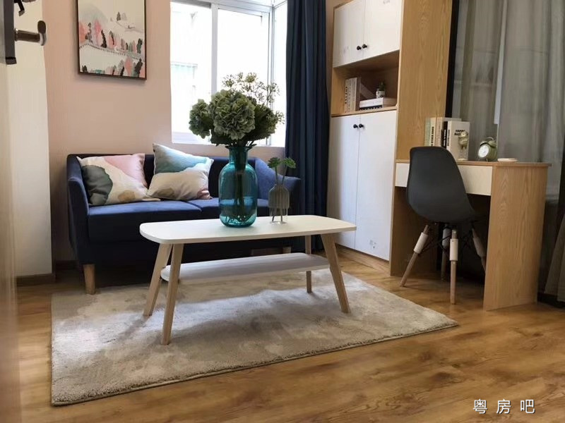 深圳福永《LV公寓》小产权房 首付五万包两年返租 原始户型拎包入住