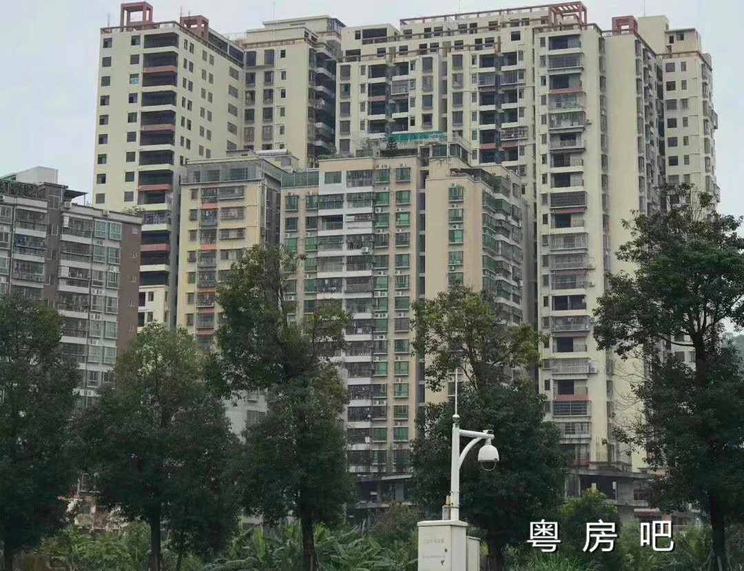 深圳石岩上屋《园径豪庭》3栋大型村委统建楼 均价11800元起