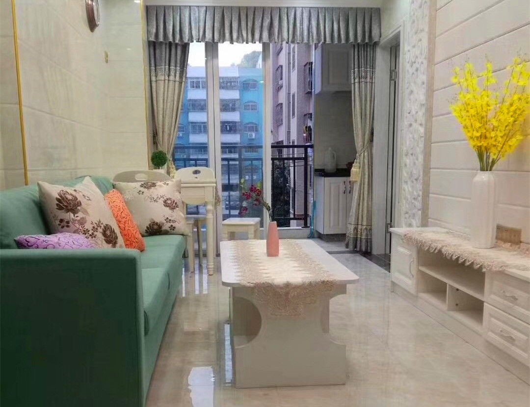 龙华下早新村《荣耀家园》精装电梯小产权房 65.8万起每套