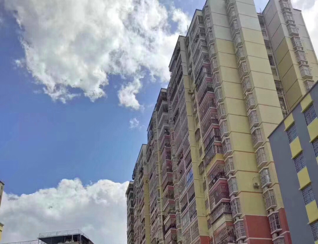 龙华《龙胜华府》4栋大型村委统建楼 村委盖章 