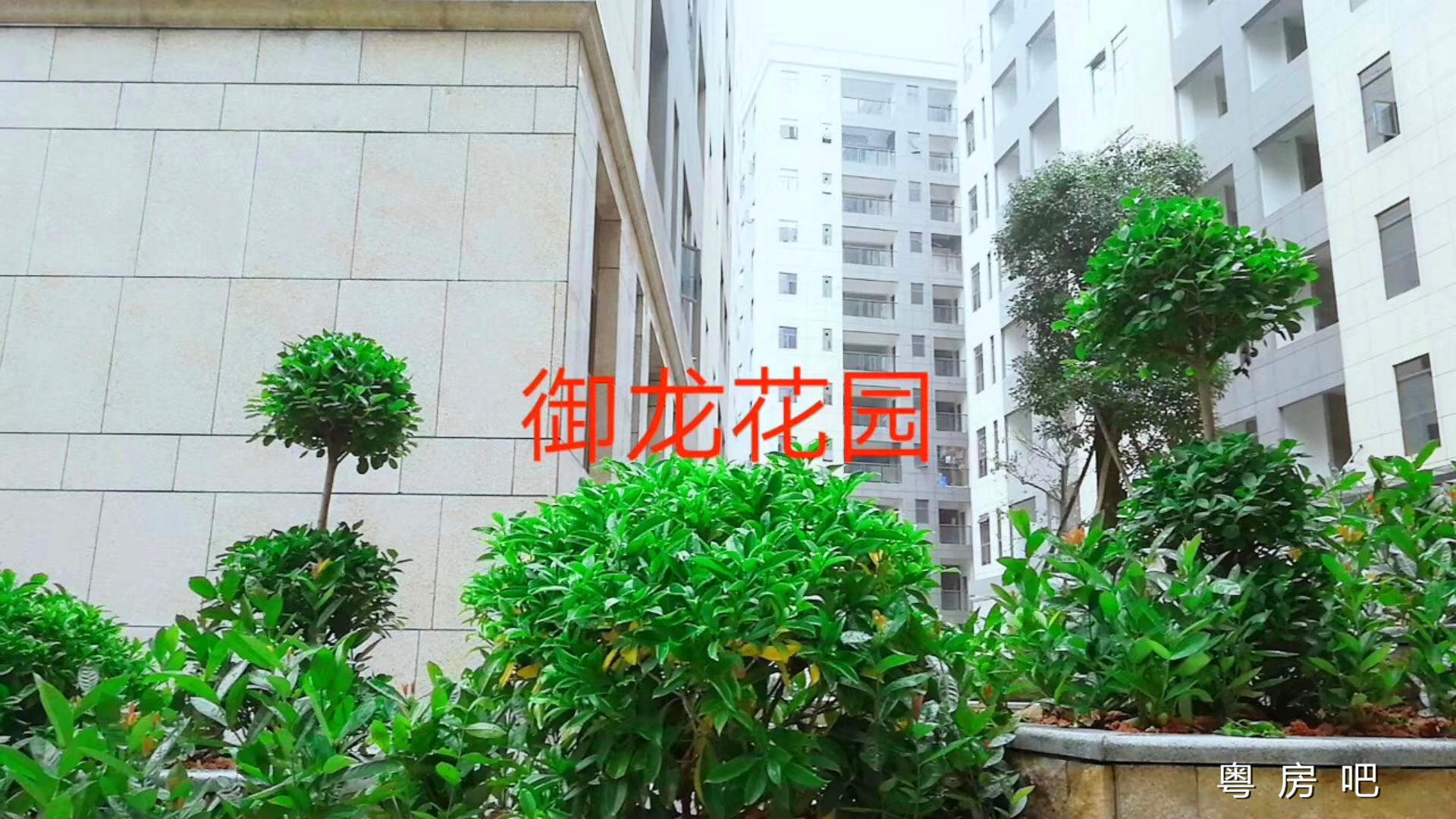 龙华大浪《御龙花园》3栋大型统建楼 带花园 停车场 均价14000元