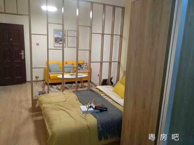 深圳罗湖笋岗《罗湖春天》地铁口300米小产权房 全部带精装