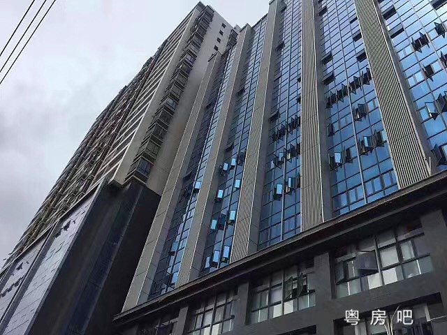 坂田神盘《安裕大厦》新开盘村委房 带精装和停车场 