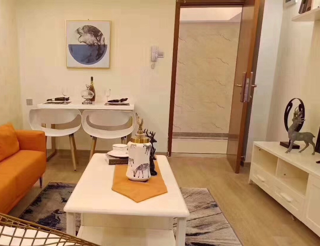 观澜新田《幸福领域》精装村委小产权房 地铁口大飘窗10000元起