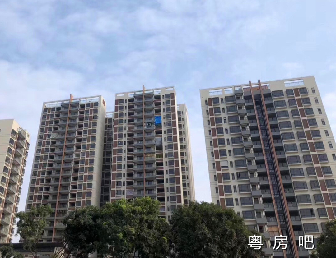 东莞企石6栋大型统建楼出售 带花园小区 使用率90%