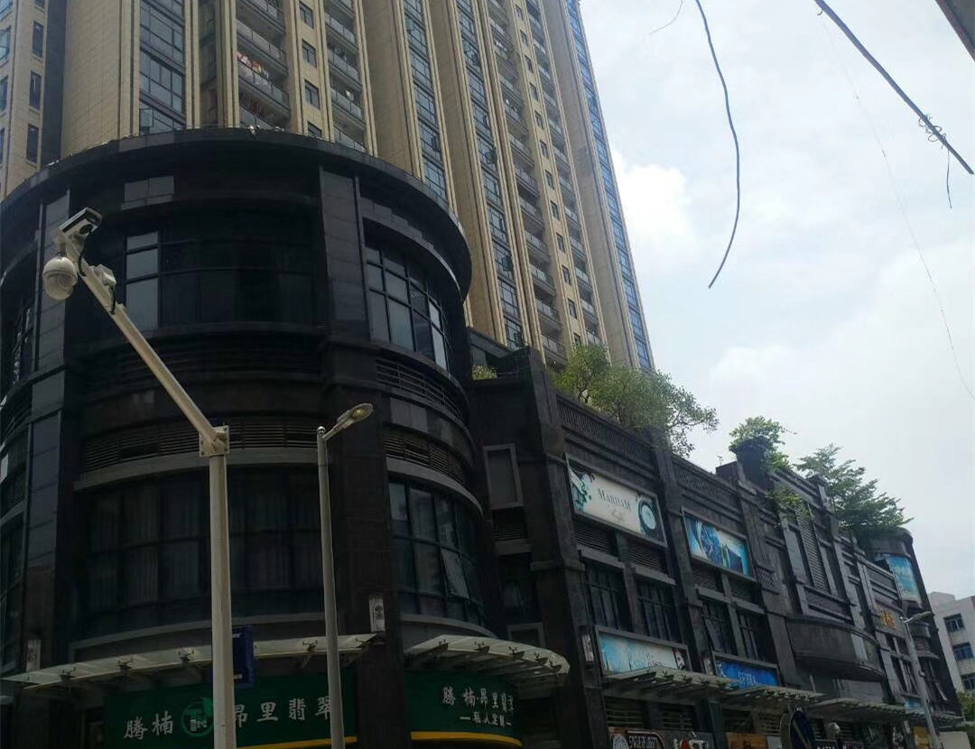 东莞长安镇中心《海怡豪庭》2栋美景小产权房 大润发旁一梯四户