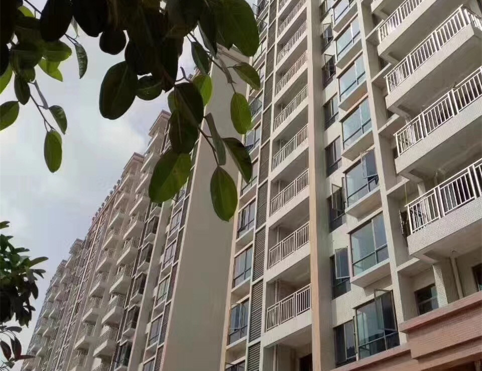 东莞长安《现代豪庭》4栋花园社区统建楼 两梯三户地铁口物业