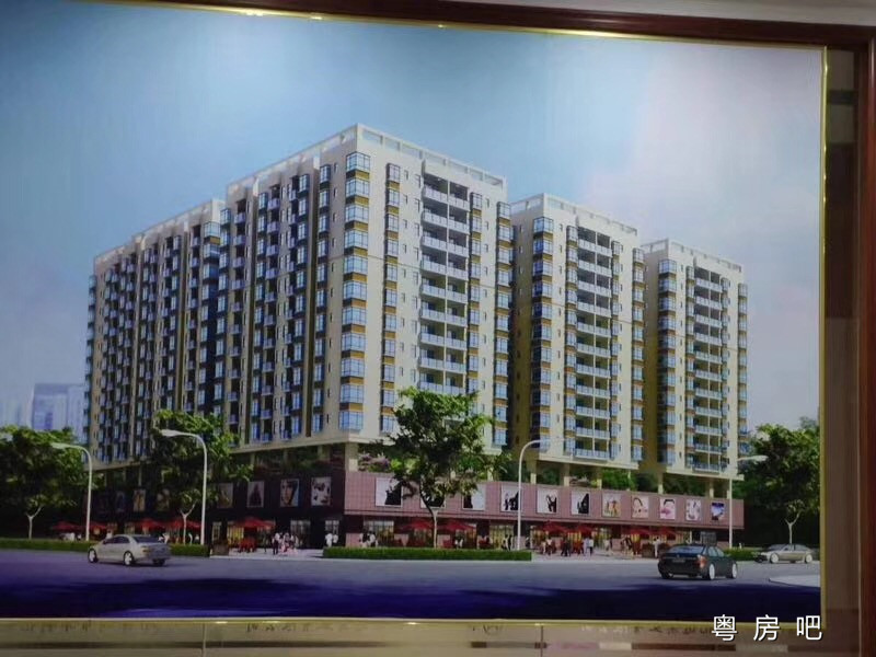 东莞长安《振兴花园》6栋花园统建楼 2层停车场带天燃气