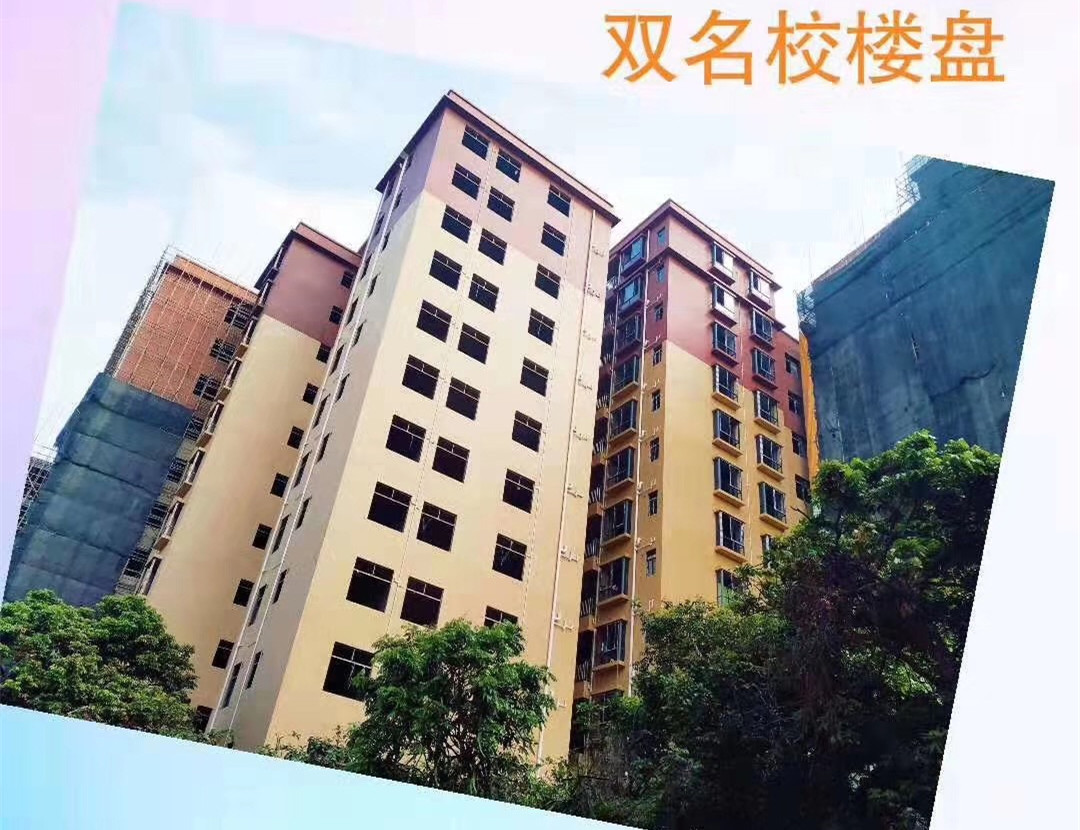 大亚湾新寮最新开盘《时代华庭》3栋大型统建楼 带停车场 均价3380元起