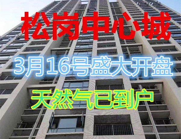 深圳松岗中心位置《松岗中心城》送精装的小产权房 带天燃气 两房46.8万起