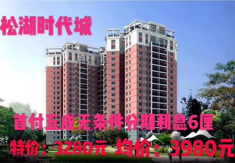 东莞大朗最中心《松湖时代城》新楼盘小产权房 2栋电梯洋房