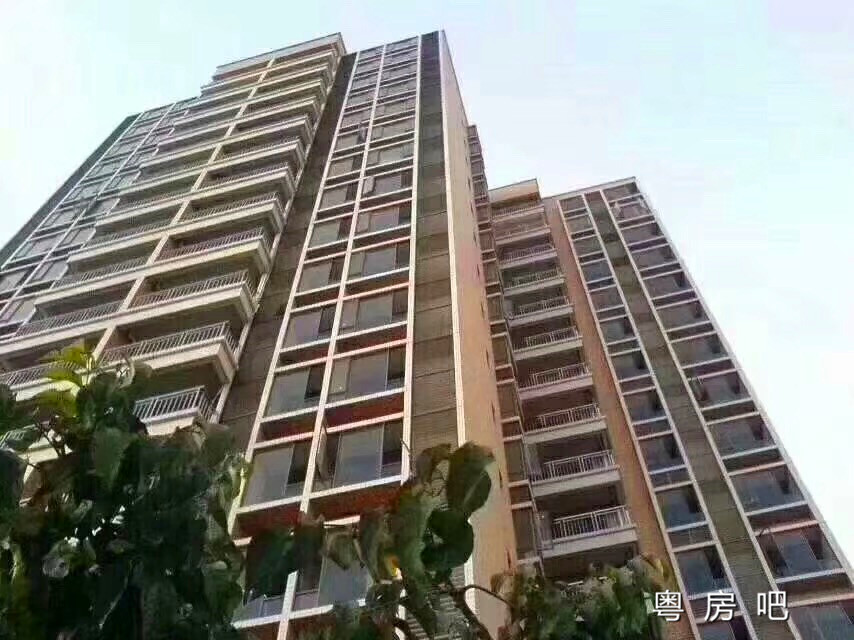 虎门大宁3栋大型统建楼《柏林华府》封闭式小区 均价5800元