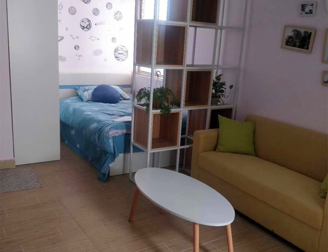 宝安中心 翻身地铁口《翻身公寓》小产权房 精装单间48万起