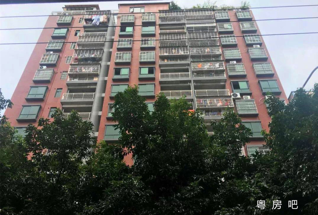 东莞石碣《东城北花园》小产权房出售 两梯六户 均价4500元 可分期3年