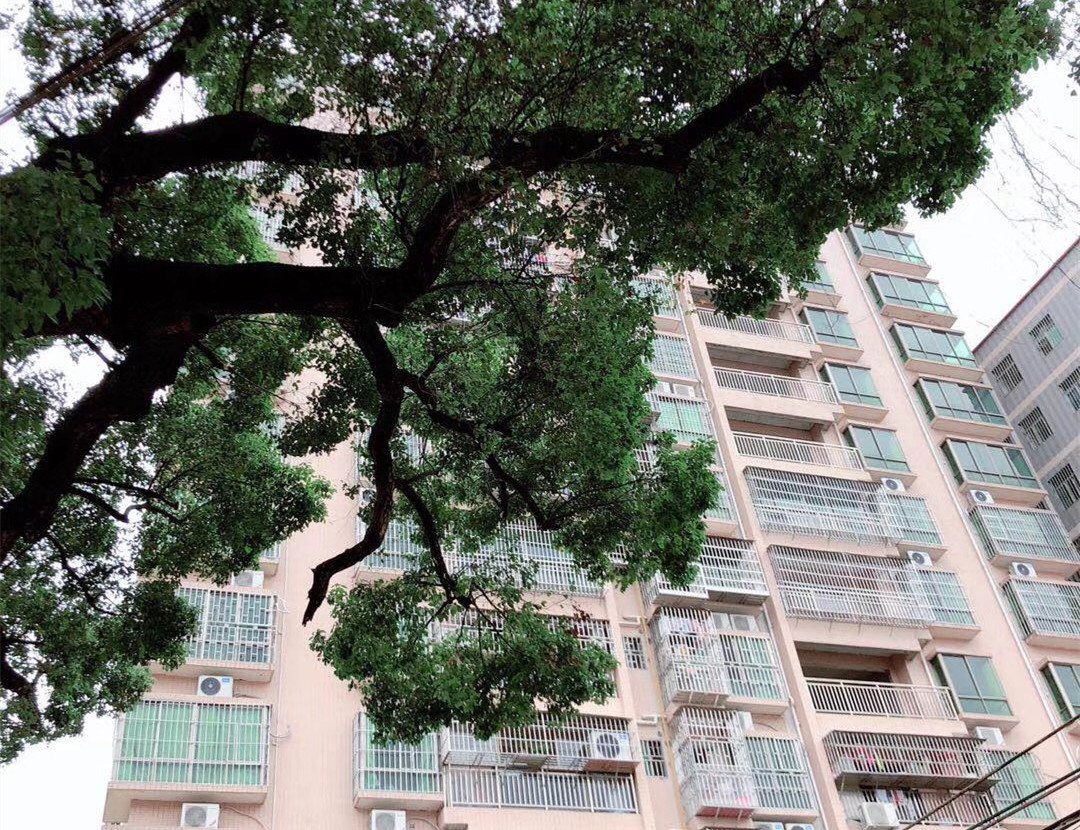 深圳观澜新田统建楼《新田华府》新楼盘小产权房 户户大阳台带天燃气 