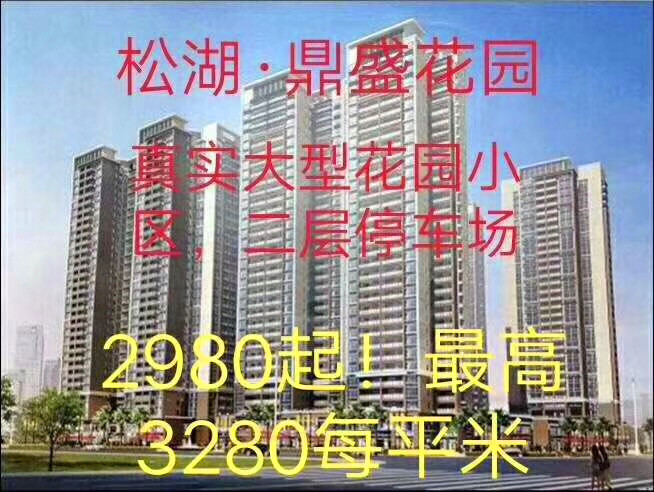 大朗《鼎盛花园》6栋超级大型花园小区750户！两层停车场，带1600平方米㎡大花园！