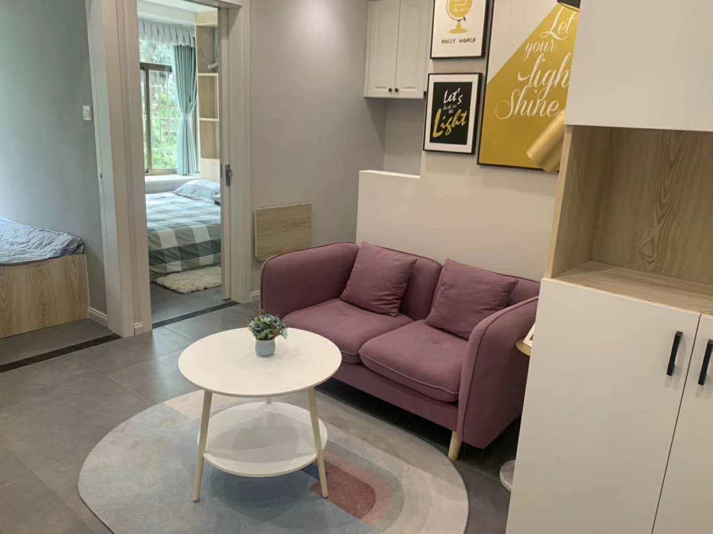 龙华壹城中心对面《壹城名苑》小产权房 精装电梯洋房 两房55万起