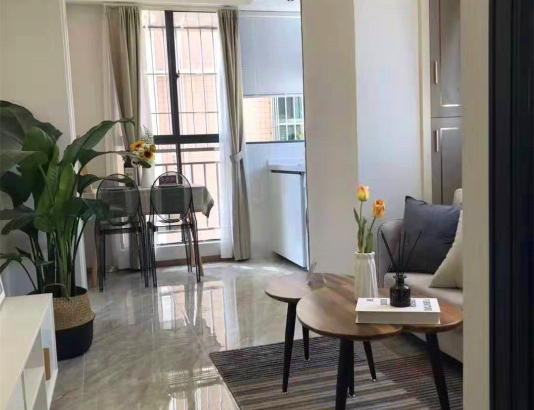 公明下村公园新楼盘《狮子座》精装小产权房 拎包入住 总价16.8万起