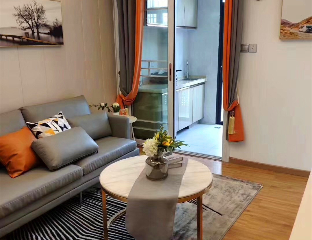 观澜大水坑新楼盘《双子座》马上旧改小产权房 精装一房25.8万起 