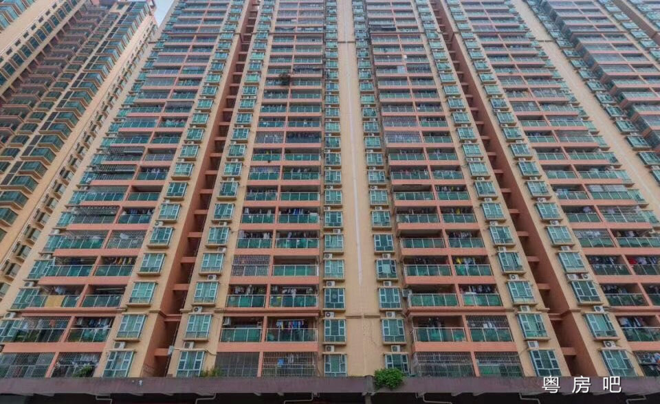 沙井马安山地铁口《金地海岸花园》7栋大型花园小区 均价14500元 带精装修