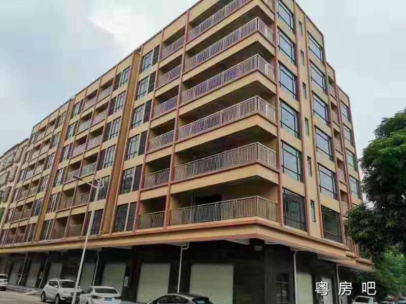 东莞横沥小产权房《祥和国际》核心地段 临街住宅和商铺 带天燃气 均价4280元