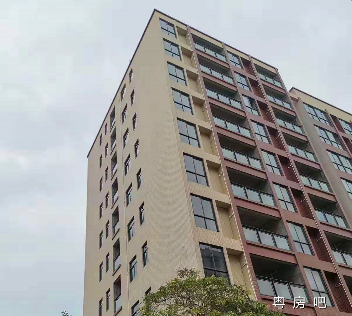 大岭山马蹄岗《盛丰华府》小产权房 首付23万买大三房 户户大阳台无敌采光