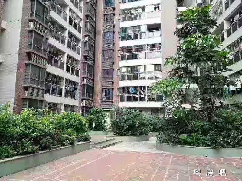 沙井会展中心零距离《会展公馆》4栋大型村委统建楼 单价8200元起