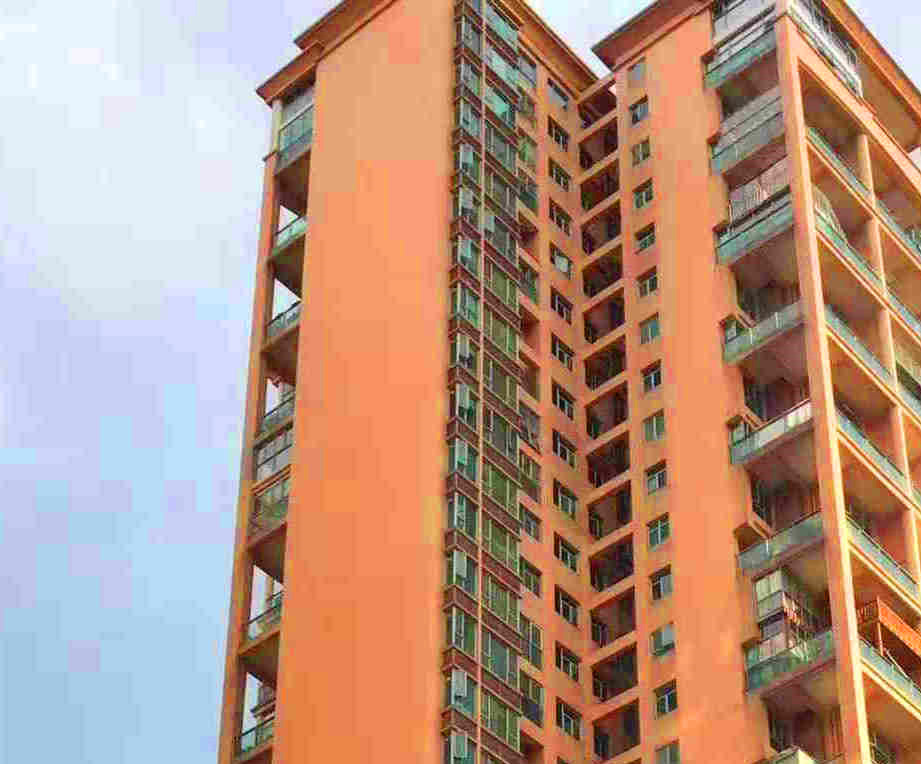 宝安沙井地铁口《中芯名城》大型统建楼 带停车场和天燃气 两房69.8万起