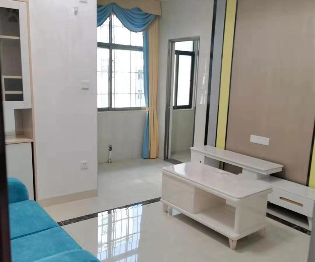 龙岗坂田《雪象名居》10号线雪象地铁口 精装小产权房 拎包入住 总价49.8万起