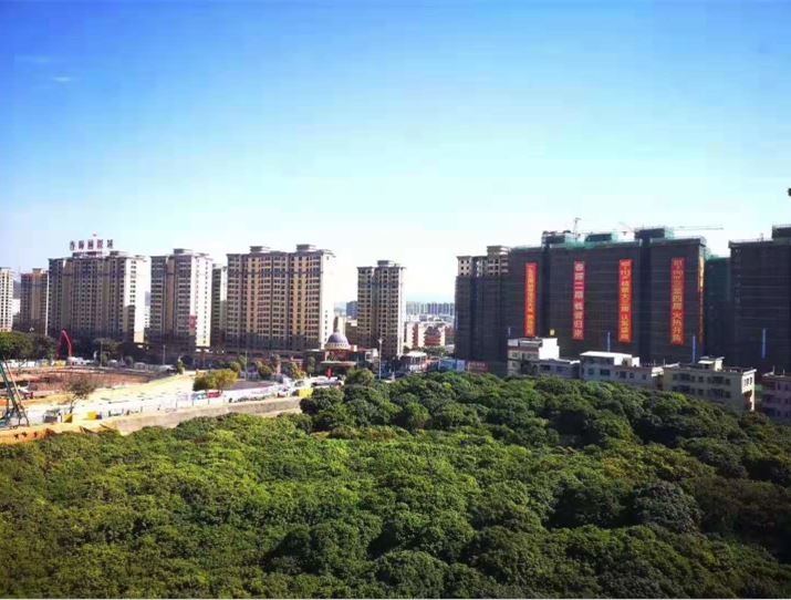 东莞塘厦林村《都市阳光》3栋大型统建楼 自带空中花园和天燃气 单价4200元起