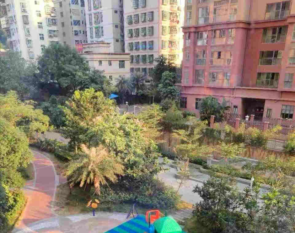 龙岗南联地铁口《八仙公馆》大型花园小区 独立红本公寓 精装复式 还有少量小产权房 