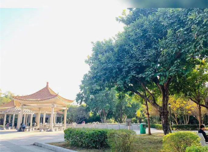 东莞大岭山公园旁《山水庭苑》2栋小产权洋房 超大三房48.8万起