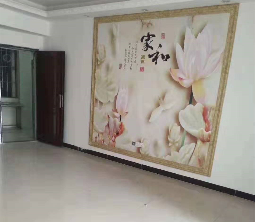 公明上村《富豪家园》地铁口精装小产权房 带天燃气管道 总价24.8万起