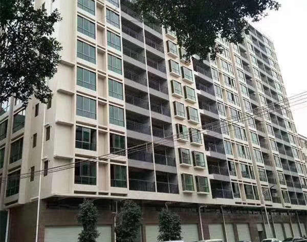 东莞虎门北栅优质楼盘《中悦豪庭》2栋联排大型统建楼，马路边 带停车位 均价4880元