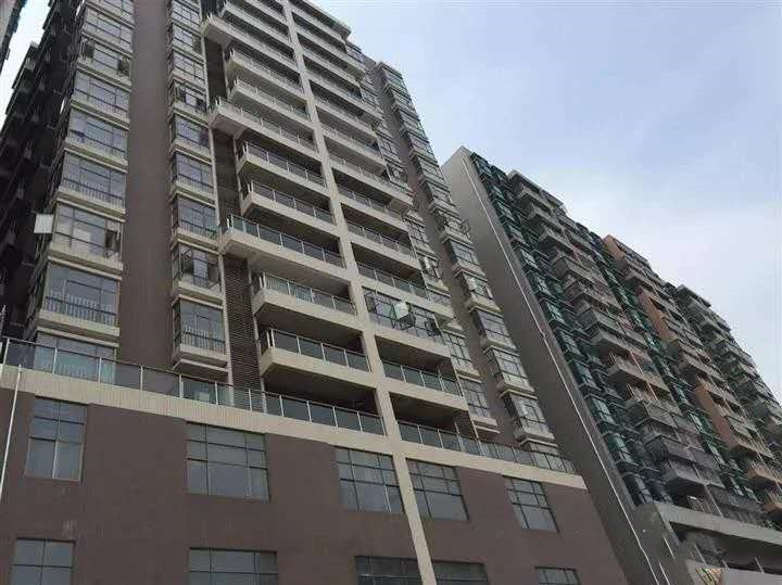 石岩石龙仔《汇邦国际》3栋大型村委统建楼 村委签合同 带天燃气和停车场