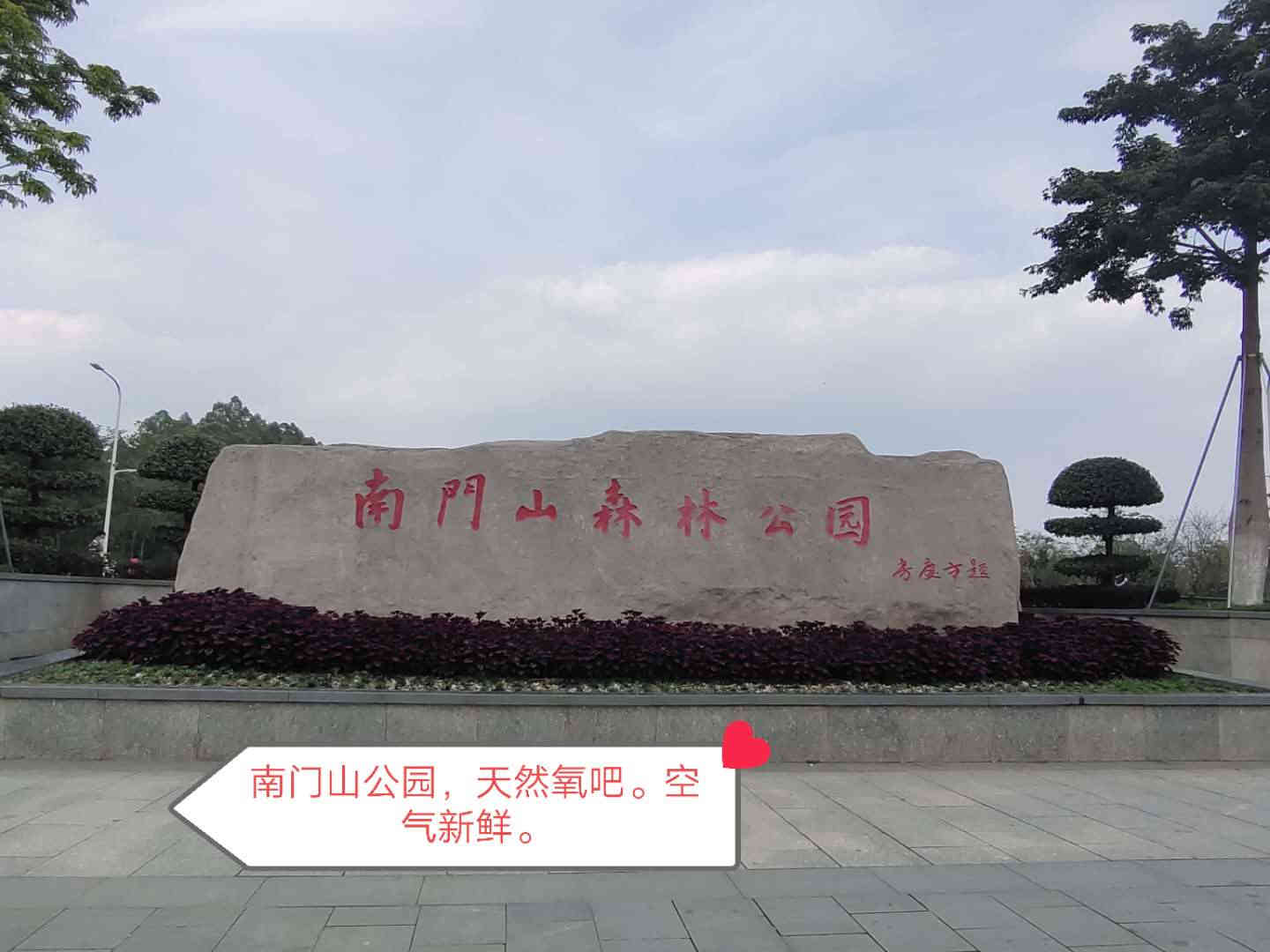 东莞凤岗黄洞小产权房出售《舒欣家园》46.8万起买大三房