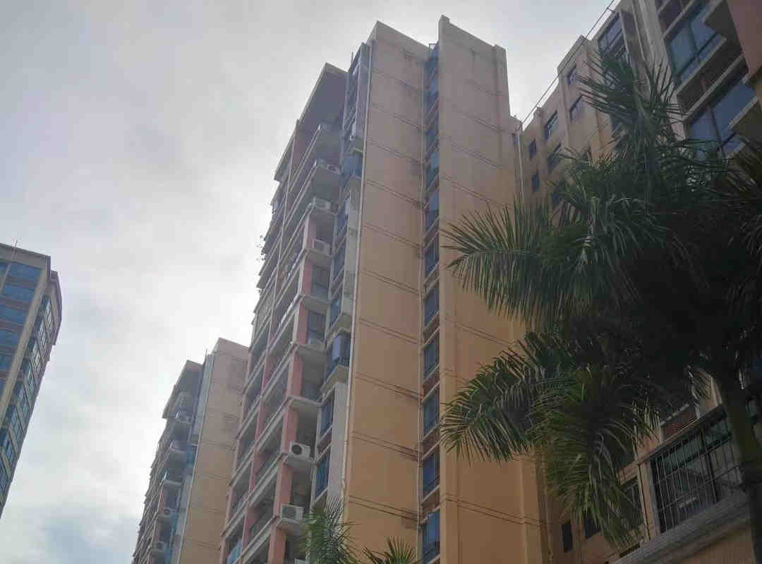 光明白花洞小产权《光明村委统建楼》5栋大型花园社区 原始户型 均价13800元起