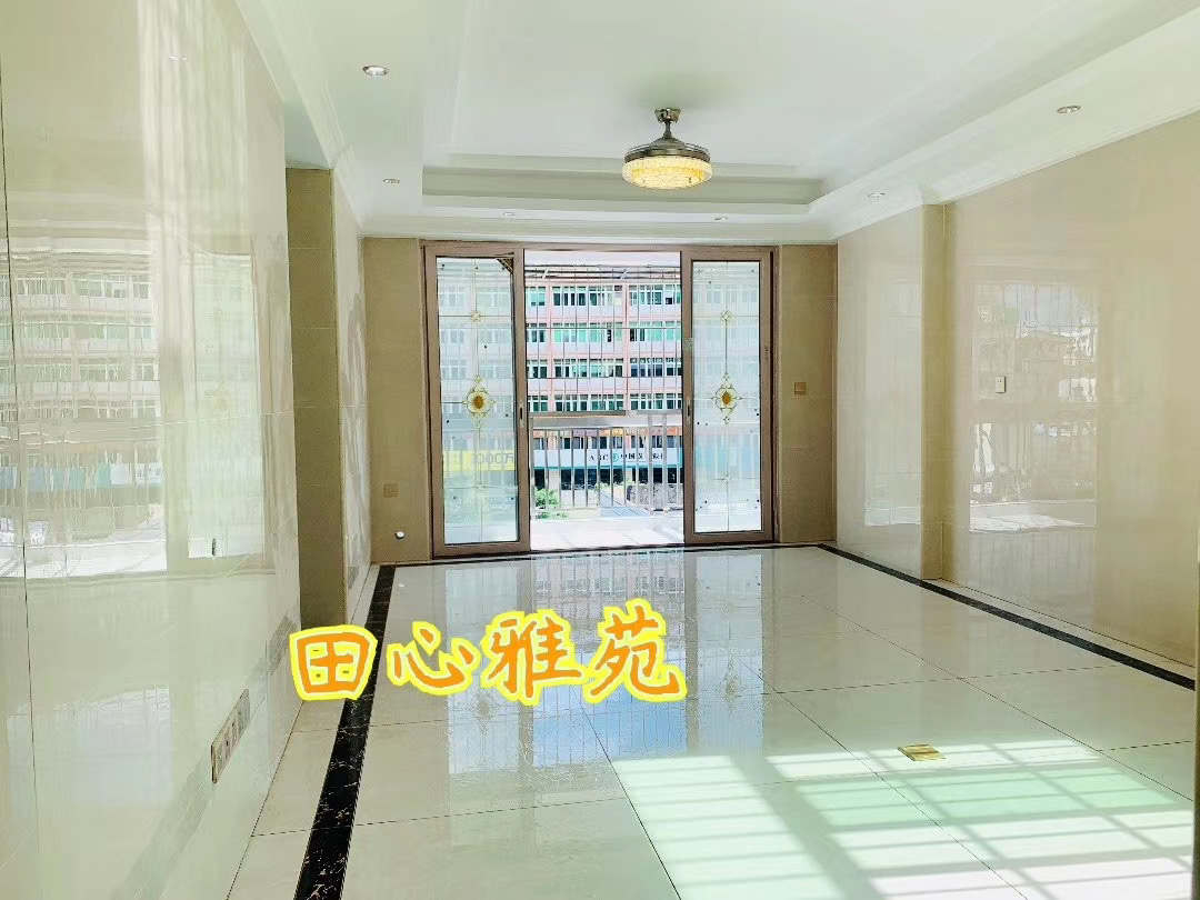 东莞虎门北栅小产权房《田心雅苑》精装修出售 可分期3年