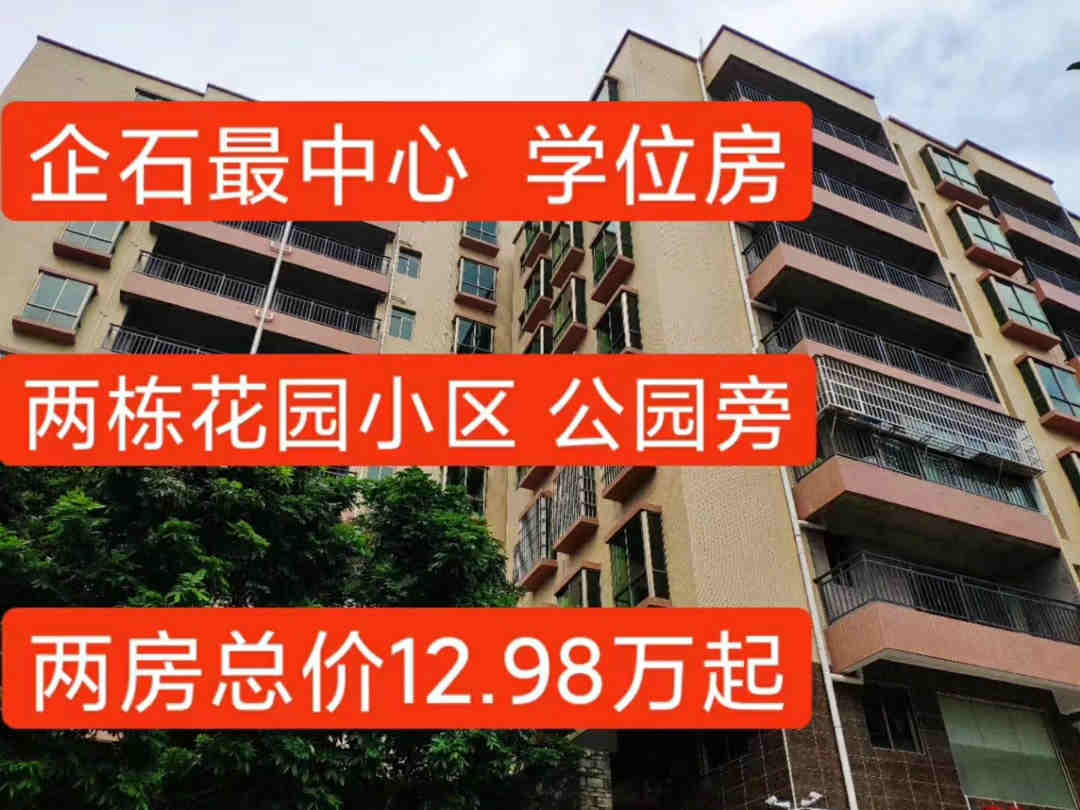 东莞企石中心小学旁《宝石学府》小产权房新盘 户户大阳台大飘窗 自带停车场
