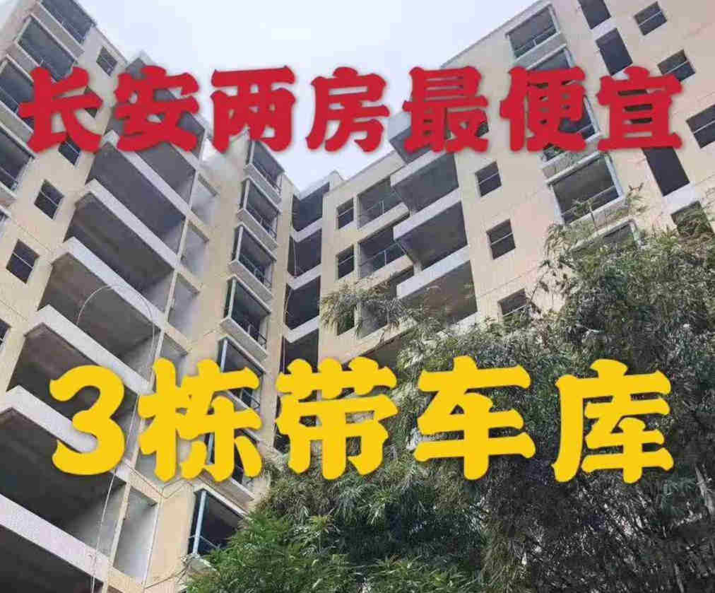 东莞长安沙头3大栋《沙头一号》小产权房出售，楼下有停车场  均价4200元