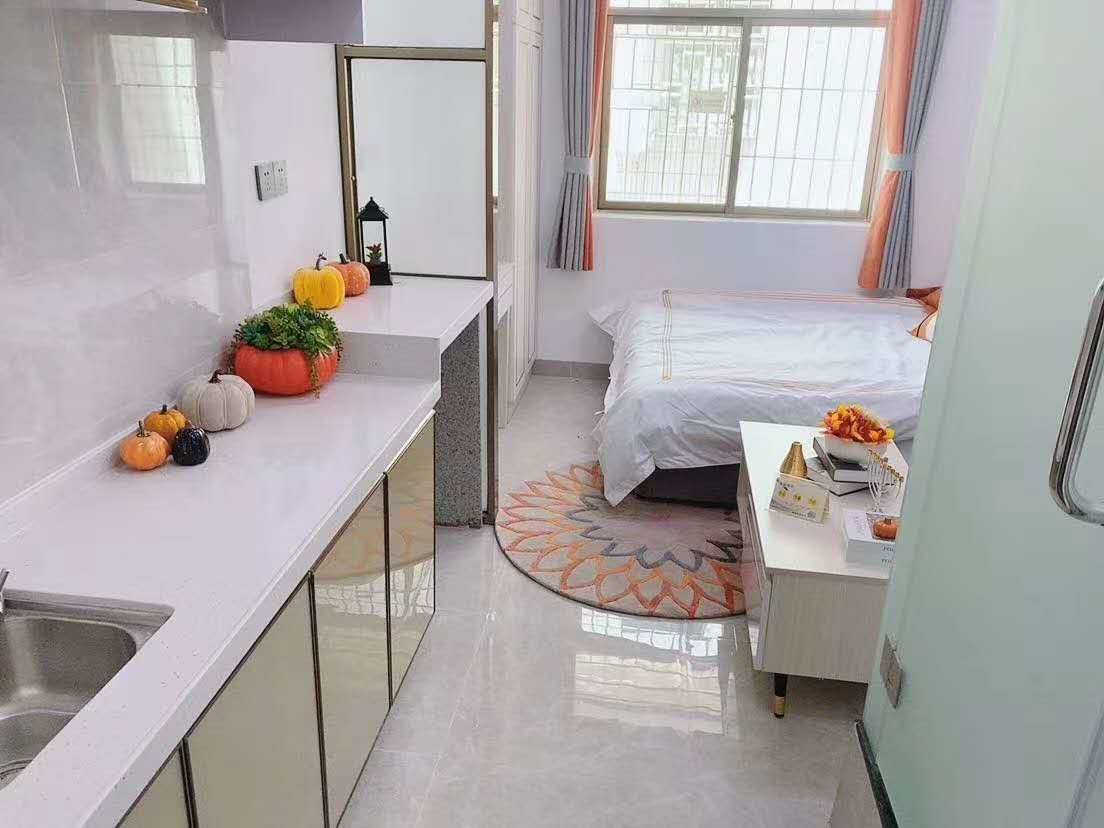 龙岗坂田《坂田家园》新盘小产权房，10号吉华站500米，精装两房51.8万起