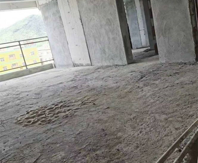 东莞樟木头2栋大型小产权房《城市中央》均价3500元 带燃气