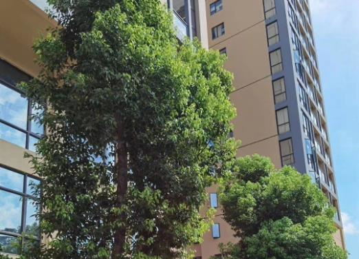 东莞凤岗5栋大型花园统建楼《壹号公馆》商品房品质，自带地下停车场，可分期5年