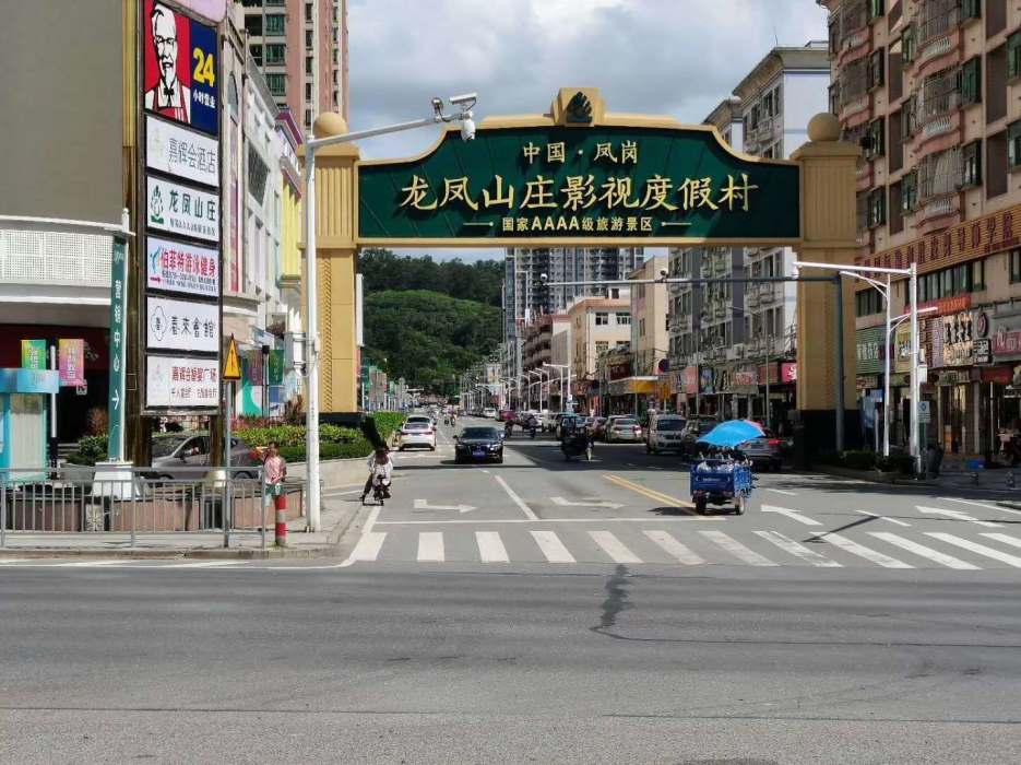 东莞凤岗官井头《金翠苑》地铁口小产权房 精装毛坯任选，门口免费停车场