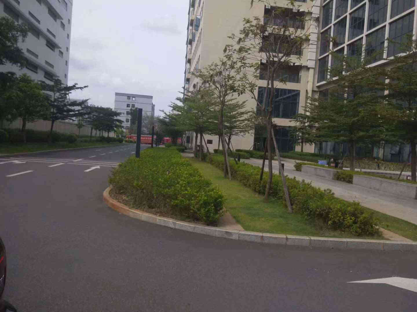 东莞凤岗雁田《平湖花园》4栋大型花园统建楼，平湖鹅公岭交界 精装修 带燃气