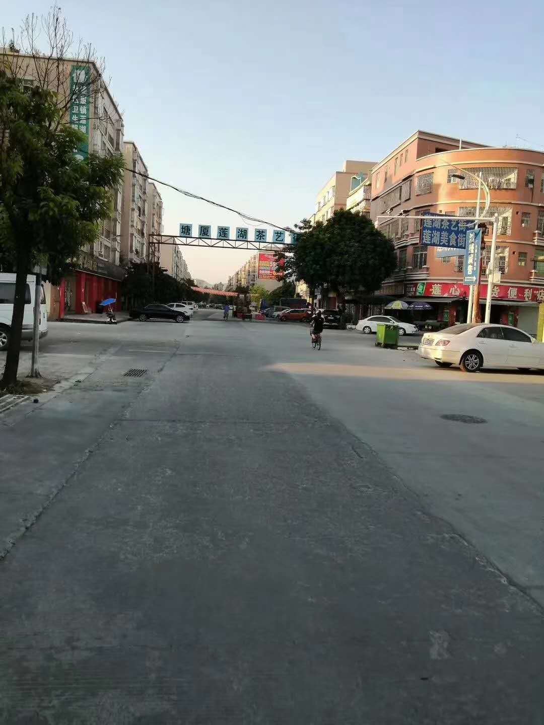 东莞塘厦莲湖《南站时代公馆》小产权房出售，总价29.9万起买大三房