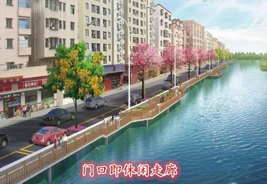 东莞长安新民《滨海湾家园》统建楼小产权房，精品电梯洋房，10分钟到深圳沙井