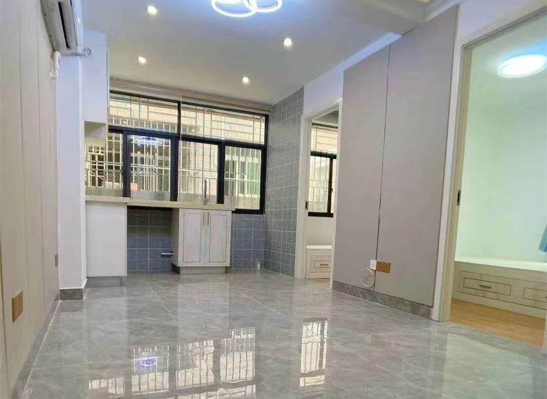 民治松仔园村委房《星河公馆》村委盖章，原始精装户型，总价47.8万起