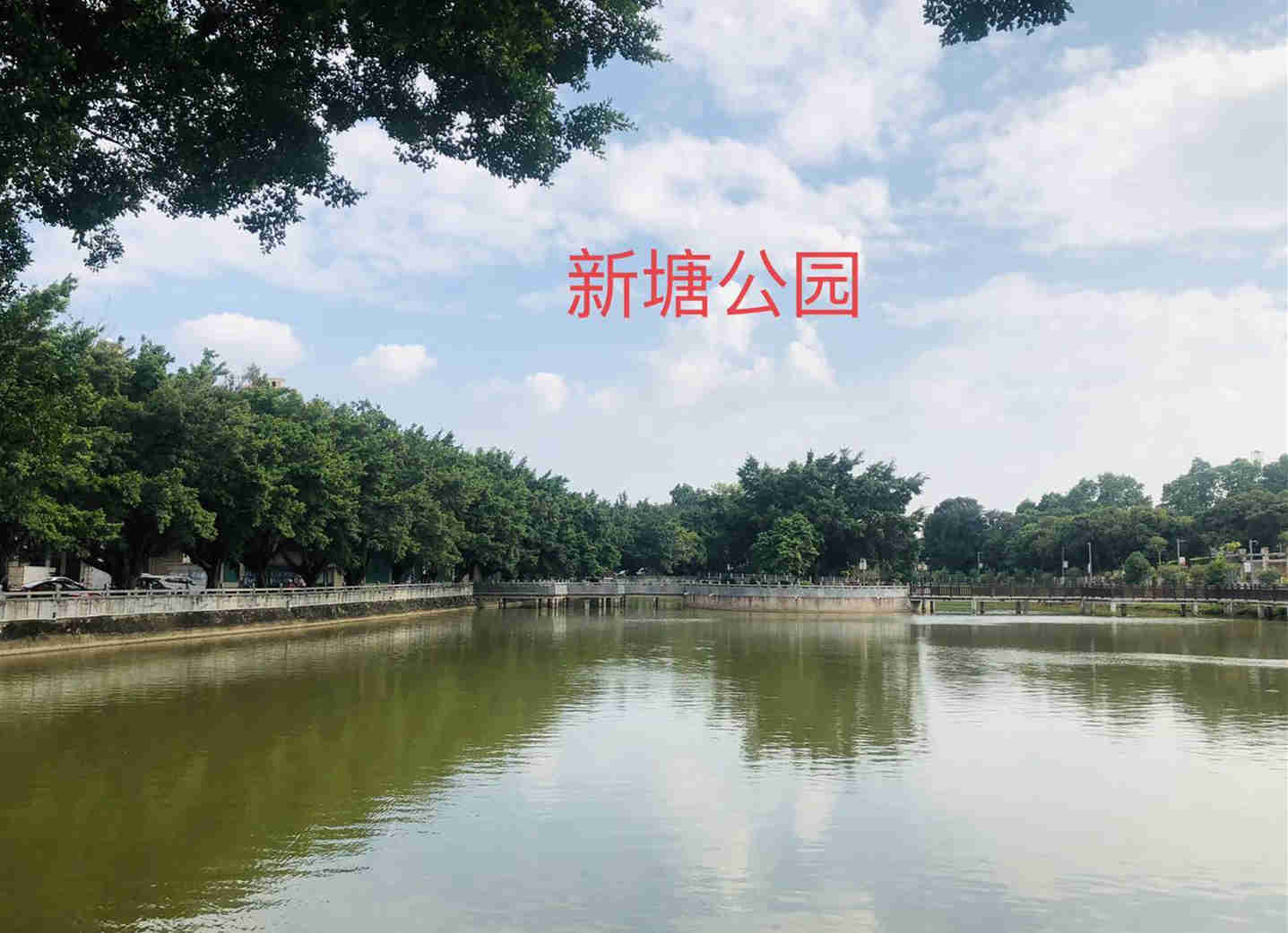 大岭山新塘统建楼《松湖阳光名苑》2栋小产权房，地铁口1号线800米，自带停车场