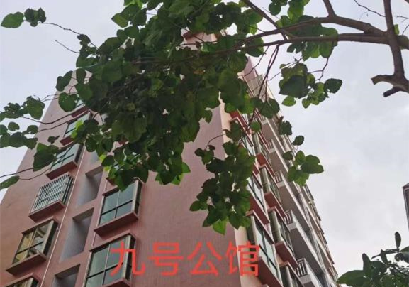 虎门北栅广场旁《九号公馆》毛坯房小产权，相领碧桂园，可分期3年